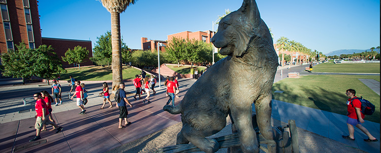 Photo of the University of Arizona campus.