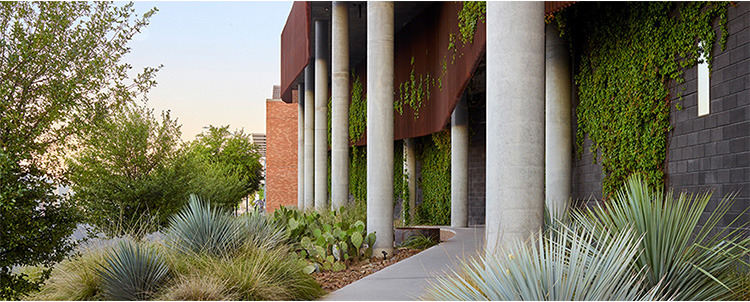 University of Arizona building