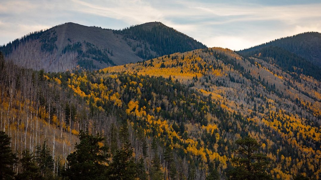 Photo of Lockett Meadow with wispy clouds in the sky and yellow leaves on the aspen trees 