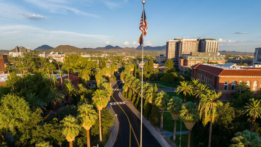 Image of campus with palm trees lining street with buildings and an American flag on a flagpole in the center of the image 