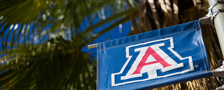 Photo of a University of Arizona flag.