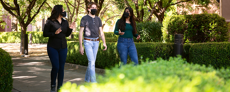 Three students walking outside on ASU campus with facemasks on and foliage in the foreground, trees in the background 