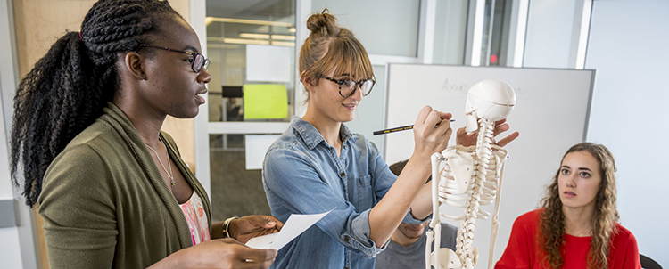 Photo of three health care students studying model of a skeleton
