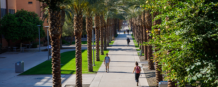 Photo of students walking on Palm Lane on the ASU Tempe campus 