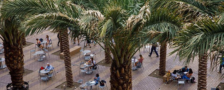 Photo taken from above of ASU area where students are sitting at tables under palm trees. 